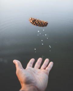 doctors juggling pinecones during ruptured appendix surgery and hospital recovery